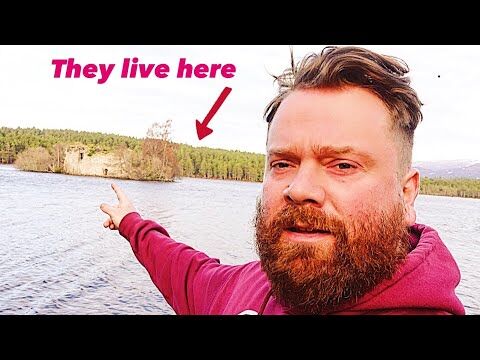 Connected Online Community